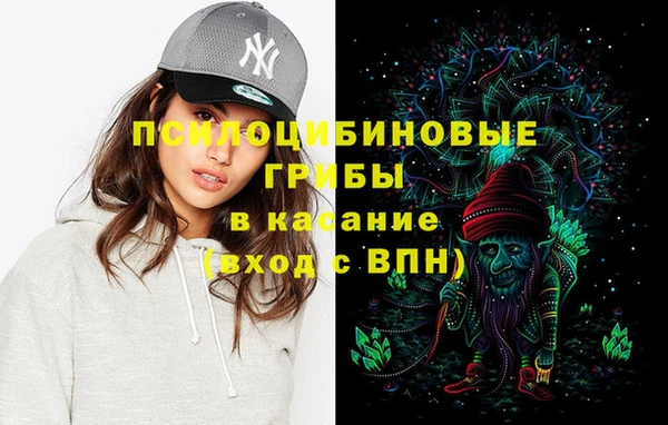 ПСИЛОЦИБИНОВЫЕ ГРИБЫ Абдулино